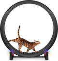 One Fast Cat - Cat Exercise Wheel - Gen. 7 - Safe 48" Diameter - Made in The USA - Black Wheel with Black Felt Traction Pads and Light-Up LED Inline Wheels
