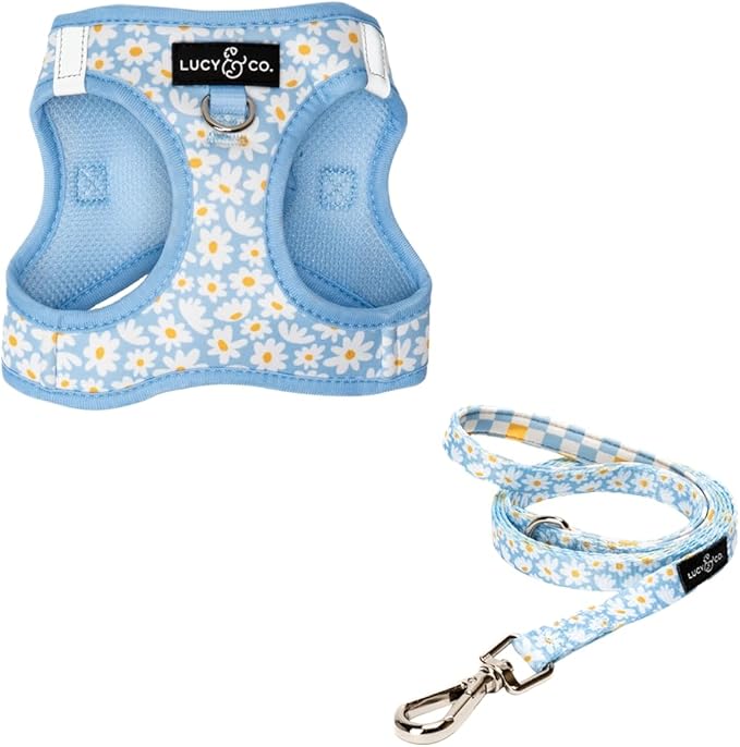 Lucy & Co. Simply Splendid Step-in Cat Harness & Leash Bundle – Reflective, Breathable & Adjustable Harness for Cats, Kittens & Small Dogs, Lightweight & Secure and Dual Leash Clips – Medium