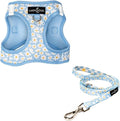 Lucy & Co. Simply Splendid Step-in Cat Harness & Leash Bundle – Reflective, Breathable & Adjustable Harness for Cats, Kittens & Small Dogs, Lightweight & Secure and Dual Leash Clips – Medium