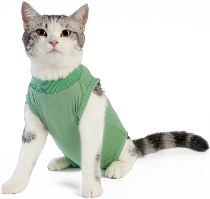 kzrfojy Cat Recovery Suit Cat Onesie for Cats After Surgery Female Male Spay Kitten Neuter Surgical Bodysuit Post Surgery Cone of Shame Alternative Anti Licking (Green, Large)
