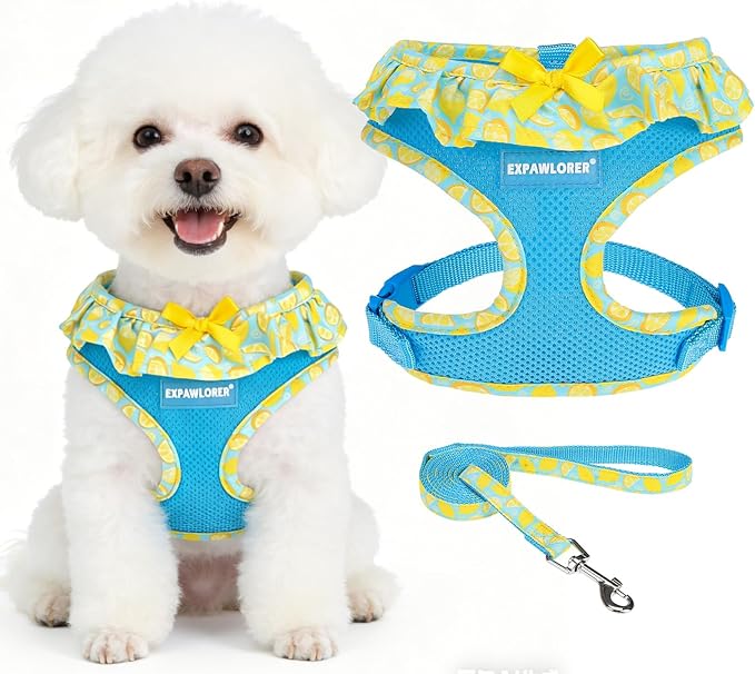 EXPAWLORER Cute Dog Harness Collar Leash Set - Blue Girl Dog Harness Checkered Step-in Design, Adjustable No-Choke Lightweight Mesh Vest for Cats Puppy Small Dogs, Lemon S