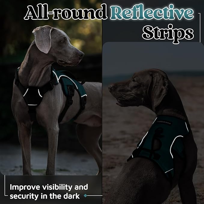 rabbitgoo Escape Proof Dog Harness, Soft Padded Full Body Pet Harness, Reflective Adjustable No Pull Vest with Lift Handle and Leash Clip for Large Dogs Walking Hiking Training, Dark Green, L