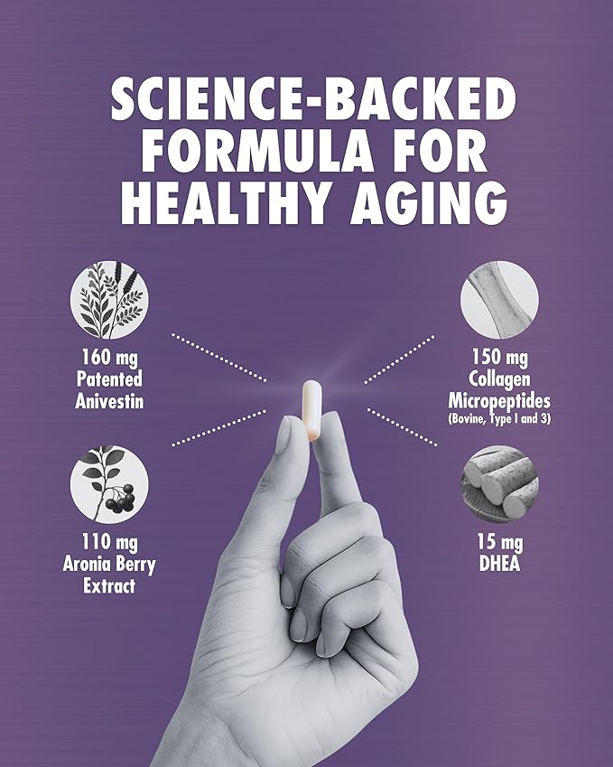 HEALTH DIRECT – RenuVite 4 Dogs | Hip & Joint Supplement for Senior Dogs | Supports Mobility & Energy | Anivestin, Collagen, Aronia Berry, DHEA | 20-120 Servings, 60 Capsules