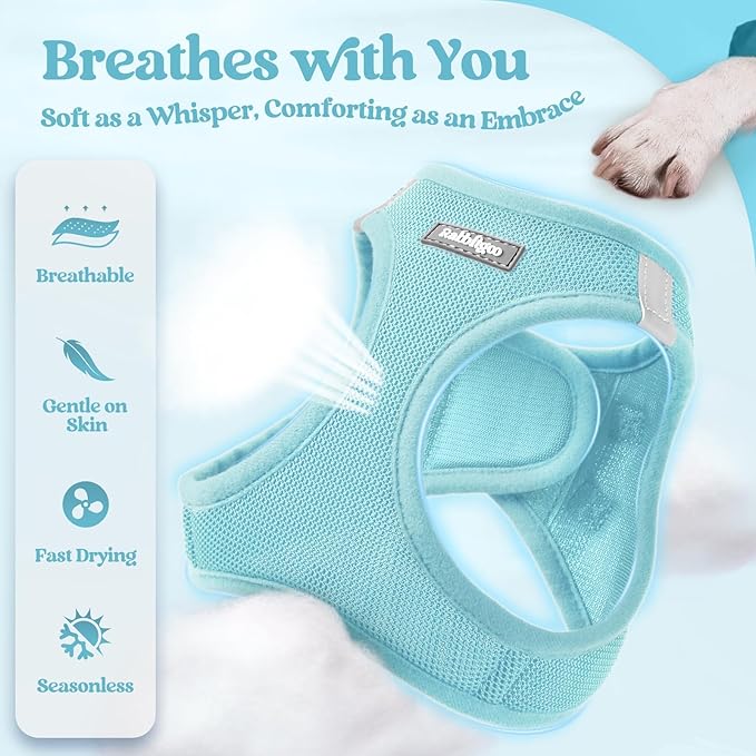 rabbitgoo Dog Harness Small Sized and Leash Set, Step in Soft Light Puppy Vest, Breathable Mesh Pet Harness, Reflective for Safe Easy Walking, Mint Blue XXS