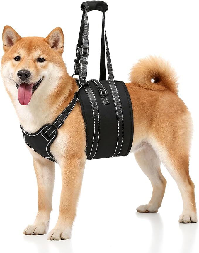 NOYAL Dog Lift Harness Sling - Adjustable Pet Carrier for Senior Dogs with Arthritis Joint Injuries, Emergency Support Rehabilitation Aid for Nail Trimming, Stairs Assistance