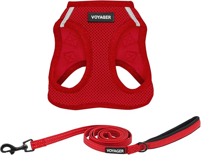 Best Pet Supplies Voyager Step-in Air All Weather Mesh Harness and Reflective Dog 5ft Leash Combo with Neoprene Handle, for Small, Medium and Large Breed Puppies - Set (Red), X-Small