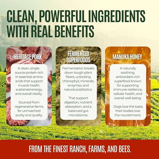 GUSSY'S GUT GutAbles- Award Winning White Oak Pastures Pork & Fermented Prebiotic Treat for Dog Gut & Digestive Health- Human Grade Ingredients – Gussy’s Delight Phase