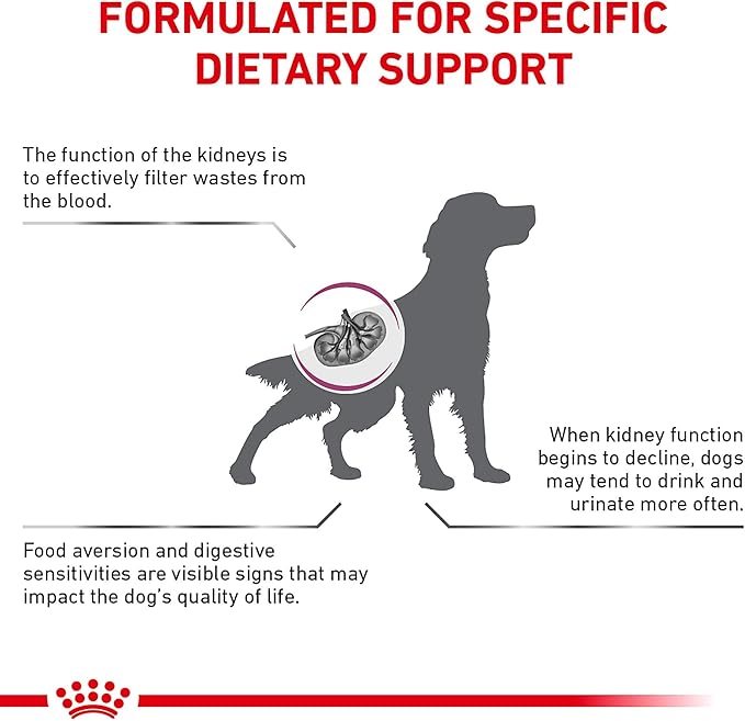 Royal Canin Veterinary Diet Canine Renal Support A Adult Dry Dog Food, 6 lb Bag