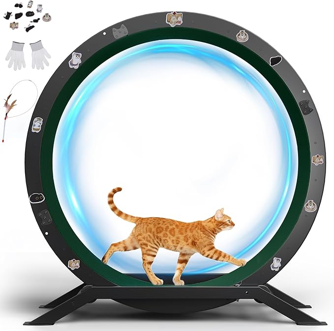 GTRACING Cat Wheels, 40" Diameter, Large Cat Exercise Wheel for Indoor Cats cat Treadmill Metal with Detachable Carpet & Teaser/Stickers, Ultra-Quiet Scroll Wheel with Latch, Safe and Stable, Green