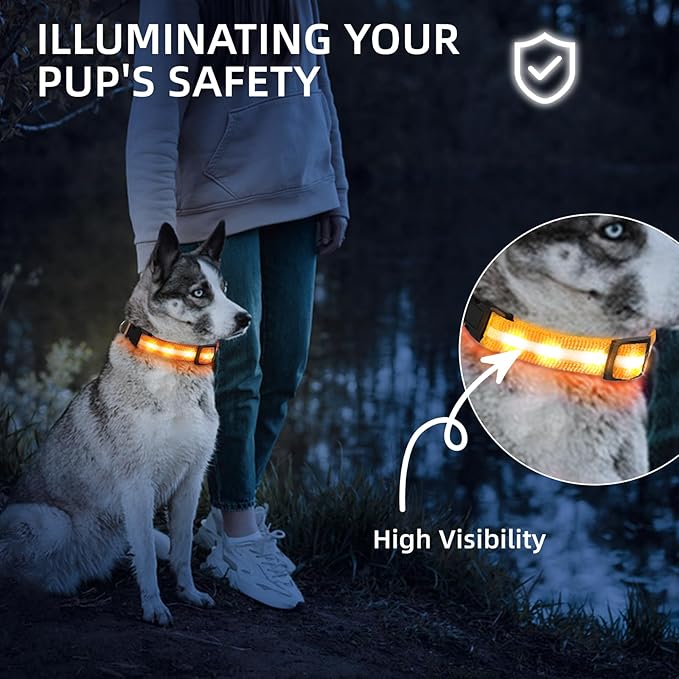 LED Dog Collar for Small Dogs Cats - Fully Waterproof & Adjustable Glow Collar - USB-C Rechargeable for Night Walking, Safety - Flashing Lighted Collar for Dogs(Orange,XS)