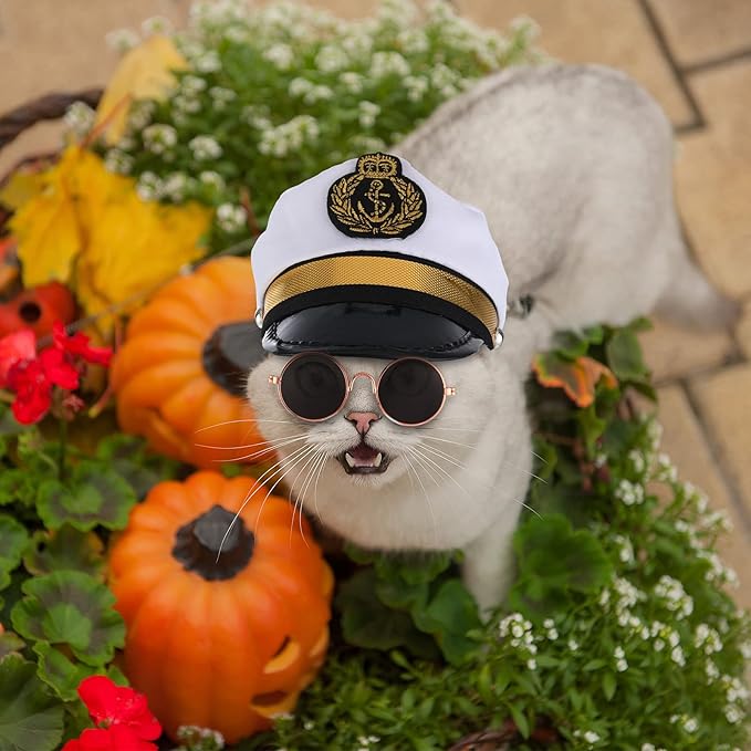 Weewooday 5 Pcs Halloween Cat Sailor Costume Set Captain Hat for Dog Cat Sailor Hat Small Pet Tie Collar Necktie Sunglasses Navy Costume Outfit for Puppy Kitten Halloween Cosplay Parties Photo Props