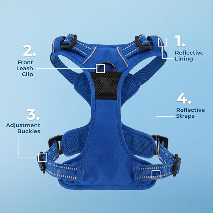 Voyager Dog Harness Dual Leash Attachment No-Pull Control Adjustable Soft but Strong Pet Harness for Medium and Large Dogs with 3M Reflective Technology, Leash Set Royal Nylon, L (Chest: 25-30")