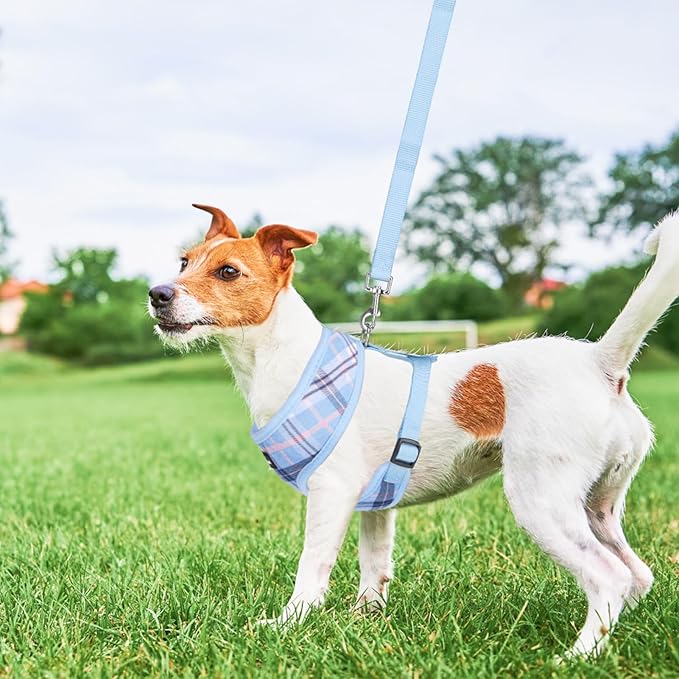 SCENEREAL Puppy Dog Harness with Leash Set for Small Medium Sized Dogs, Soft Mesh Pet Harnesses and Leash, No Chock Plaid Adjustable No Pull Vest for Dogs Cats, Chihuahua,Bulldog (Blue XS)