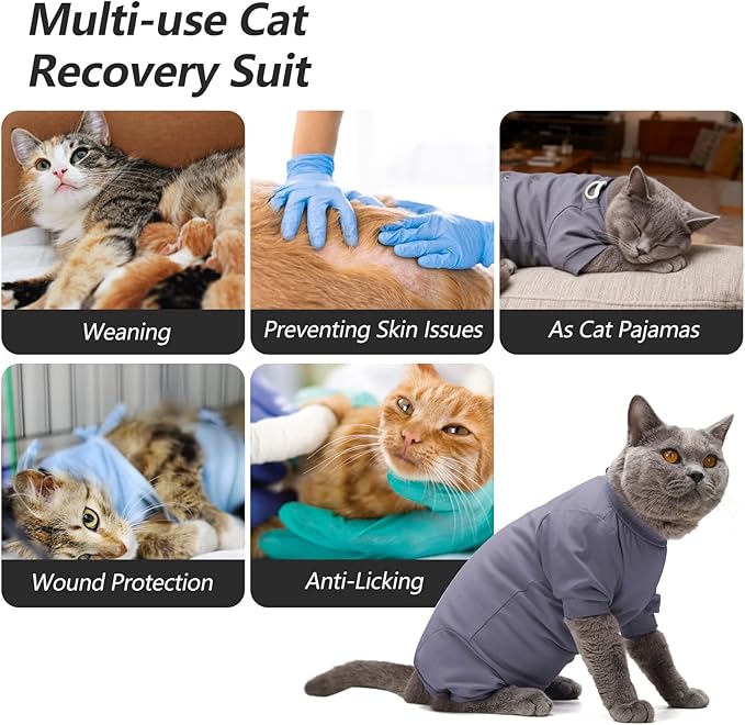Dotoner Cat Recovery Suit After Surgery Spay Recovery Suit for Female Cats Soft Protective Clothing E-Collar Alternative for Wound Care Post Surgery Apparel(Grey-M)