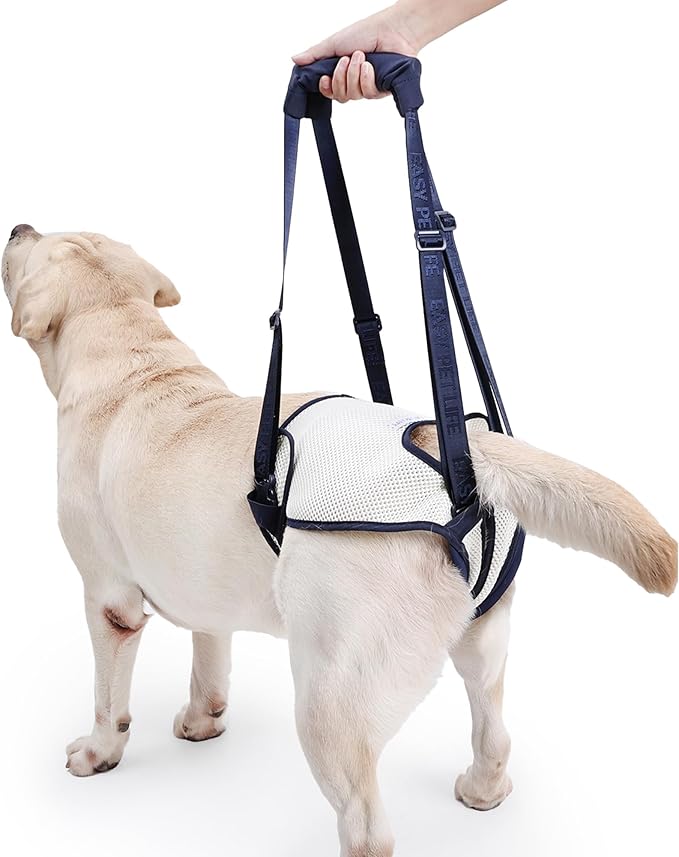 Dog Lift Harness for Back Legs - Adjustable Mobility Aid for IVDD/Paralyzed/Senior Dogs (3-in-1 Sling Design), Comfortable Leg Support, Instantly Help Your Dog Walk Again (Blue, XL)