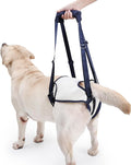 Dog Lift Harness for Back Legs - Adjustable Mobility Aid for IVDD/Paralyzed/Senior Dogs (3-in-1 Sling Design), Comfortable Leg Support, Instantly Help Your Dog Walk Again (Blue, XL)