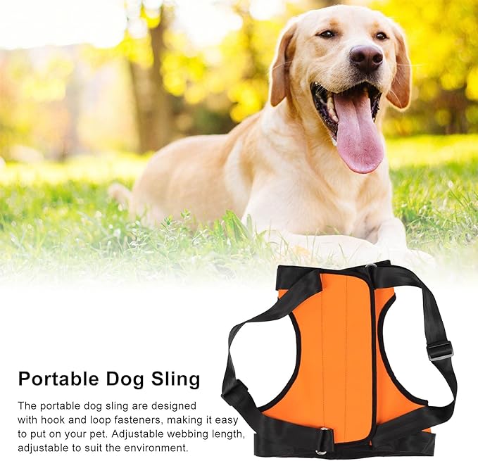 Dog Lift Harness, Dog Sling, Adjustable Pet Support Harness for Back Legs, Dog Harness Help with Poor Stability, Reduced Mobility Dog for Elderly, Senior, Disabled Dogs (Back Leg Size M)