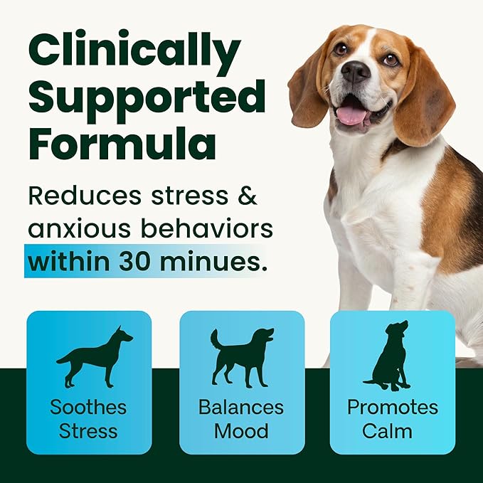 VetriScience Senior Calm & Confident Soft Chews with Colostrum and L-Theanine, Golden Years Calming, Cognition and Brain Health, Sundowners Supplement for Senior Dogs, Chicken, 60 Count
