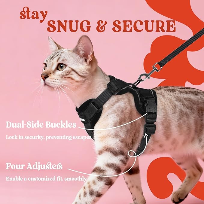 rabbitgoo Cat Harness and Leash for Walking, Escape Proof Soft Adjustable Vest Harnesses for Cats, Easy Control Breathable Reflective Strips Jacket, Black, XXS