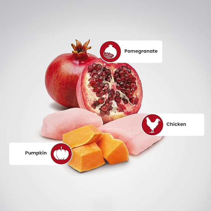 Farmina Natural & Delicious Grain-Free Chicken, Pumpkin and Pomegranate Dry Medium and Maxi Breed Dog Food 5.5 Pounds
