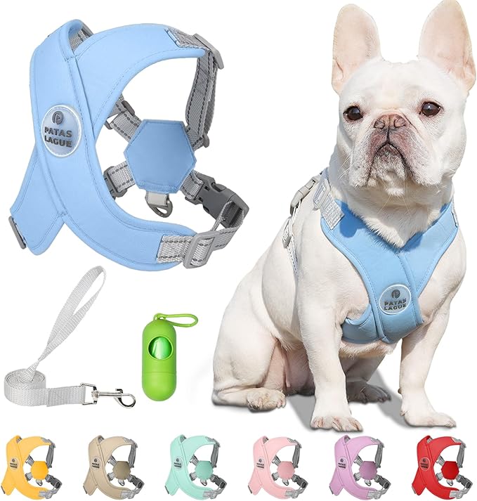 Patas Lague Dog Harness with Leash Set Adjustable Soft Padded Step-in Dog Vest No Choke No Pull Reflective for Medium Pets with Poop Bags and Dispenser, Solid and No-chew, Blue L