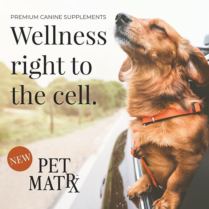 Move Joint Health Dog Supplement with Bovine Collagen - Sooth Pain from Inflammation and Support Dog's Immune System with Antioxidants