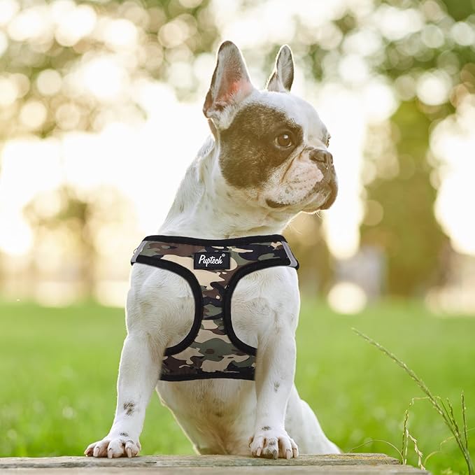 PUPTECK Dog Harness and Leash Set for Small Medium Dogs No Pull Step-in Soft Mesh Puppy Cat Vest Harnesses Reflective at Night, Camouflage, S