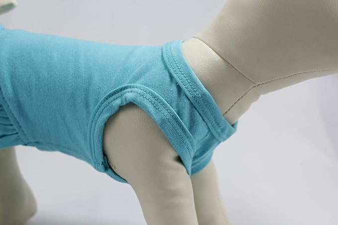 Pet Clothes Small Dog Clothing Blank Color Sport Dress T-Shirts Tee Dresses Tanks Top for Small Size Female Dogs Summer Spring Pet Costumes 100% Cotton (XS, Turquoise)