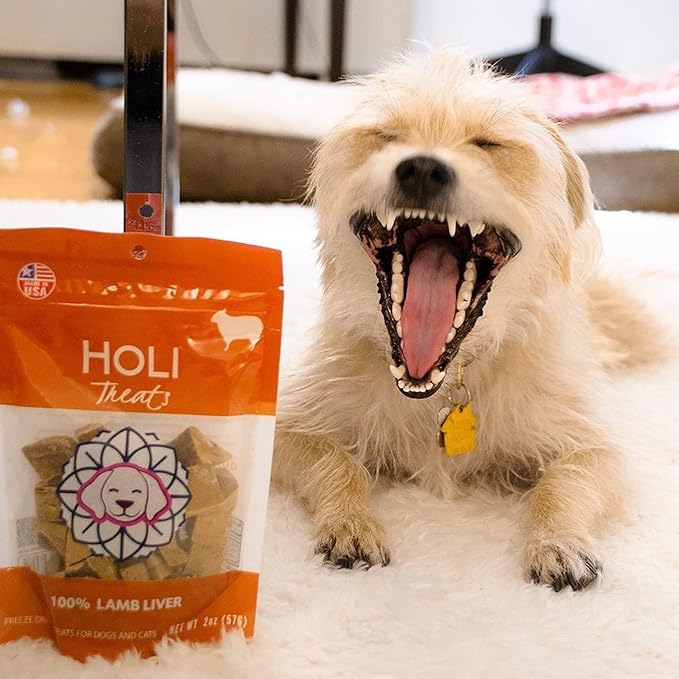 HOLI Freeze Dried Lamb Liver Dog Treats – Single Ingredient Freeze-Dried Dog Treats – Dried Lamb Liver Dog Treats Made in USA – Healthy Liver Treats for Dogs & Diabetic Dog Treat-Friendly - 2oz