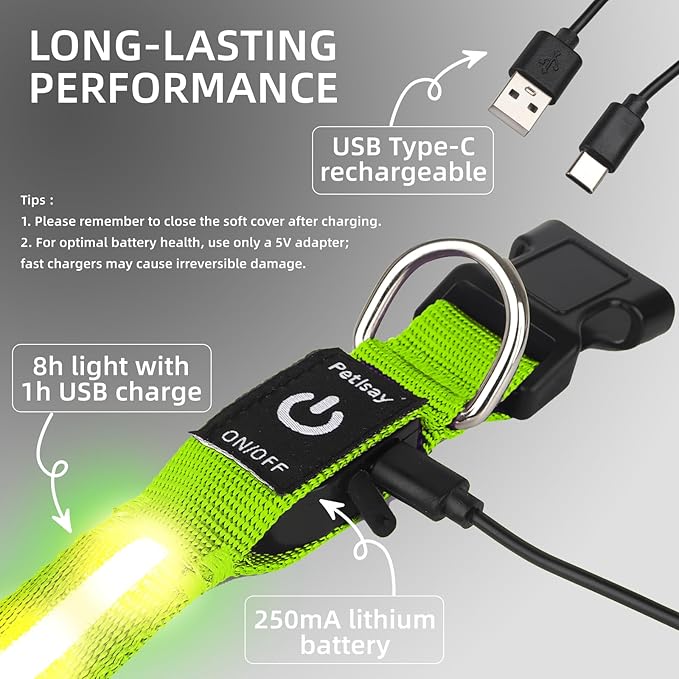 LED Dog Collar for XSmall Dogs & Toy Breeds – USB-C Rechargeable Light Up Dog Collar, Fully Waterproof Adjustable Glow Collar for Night Walking & Safety(Green,XS)