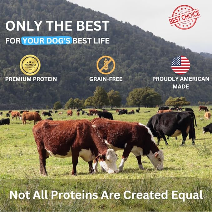 Back 40 Dogs Beef Bites - All Natural Premium Air Dried Dog Training Treats - Free Range Beef, Real Meat - High Protein Food Toppers & Dog Treat - Puppy Essentials, Made in USA - 16oz