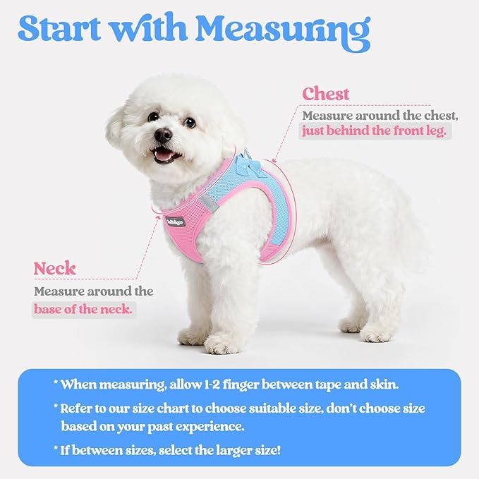 rabbitgoo Dog Harness Medium Sized and Leash Set, Step in Soft Light Puppy Vest, Breathable Mesh Pet Harness, Reflective for Safe Easy Walking, Blue & Light Pink XXL