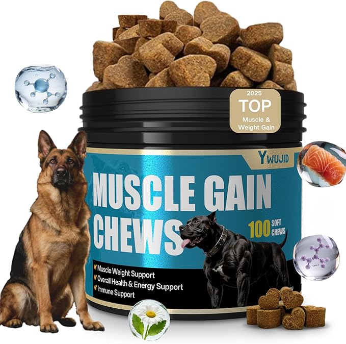 Dog Muscle Gain Power Chews-Canine Weight Gainer Formula,High Protein,Multivitamins,Overall Health & Energy,Immune Support,Premium Natural Muscle Building Supplement for Puppies & Adult Dogs