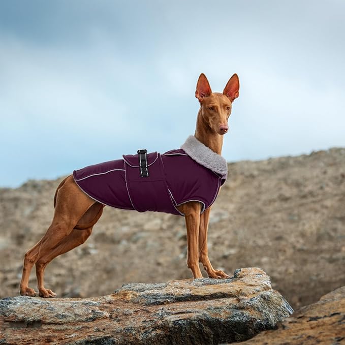 Lelepet Warm Dog Coat Waterproof Dog Jacket for Small Dogs Reflective Fleece Vest with Adjustable Buckle Hook & Loop Windproof Cold Weather Coats for Small Medium Large Dogs, Dark Purple, S