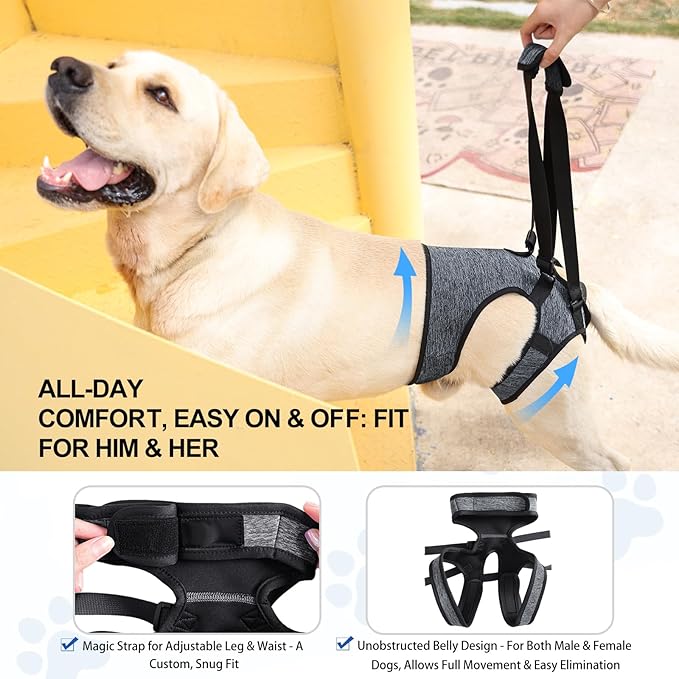 LIANZIMAU Dog Sling for Large Dogs Adjustable Hind Leg Support Lift Harness Senior Canine Mobility Aid Carrier for Back Legs Walking Rehabilitation