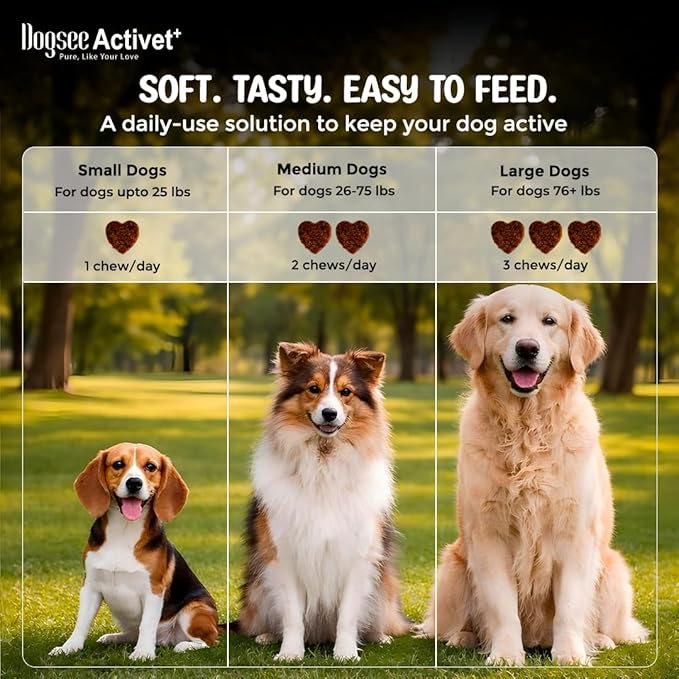 Dogsee Activet+ Dog Gut Health Supplement Chews, with Probiotics, Prebiotics, Digestive Enzymes & Fiber, Digestion & Regularity Support, Chicken Flavor – 90 Chews
