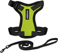 Voyager Escape-Proof Step-in Lock Cat Harness & 5ft Neoprene-Handle Leash Set All-Weather Mesh with Reflective Stitching for Small to Large Cats by Best Pet Supplies, Lime Green/Black Trim, XXXS