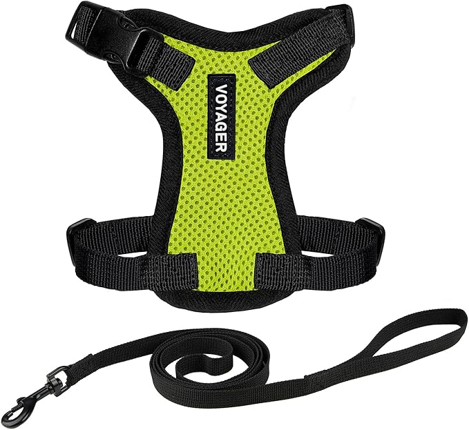 Voyager Escape-Proof Step-in Lock Cat Harness & 5ft Neoprene-Handle Leash Set All-Weather Mesh with Reflective Stitching for Small to Large Cats by Best Pet Supplies, Lime Green/Black Trim, XXXS