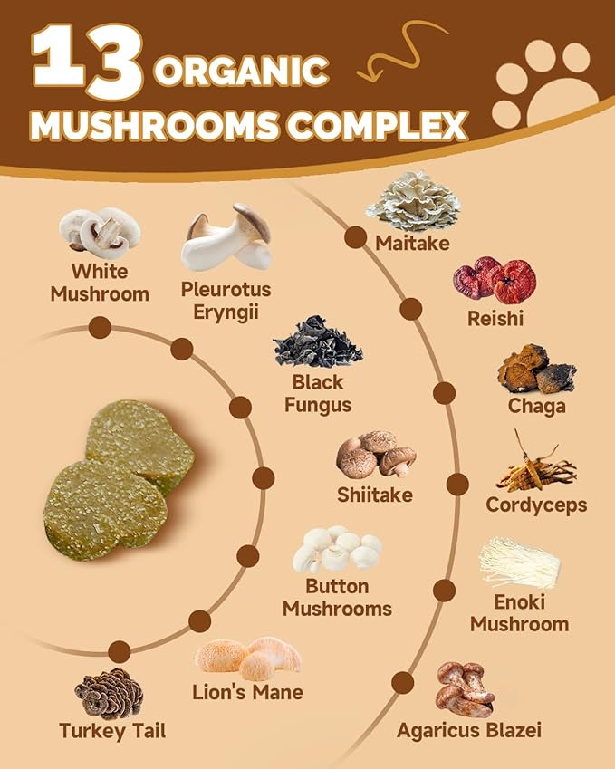 Mushrooms for Dogs - Turkey Tail Mushroom for Dogs - Gut, Skin, Joint, Immune Health- Dog Lumps & Bumps - 13 Organic Mushrooms Turkey Tail, Reishi, Lions Mane, Glucosamine, MSM - Chicken Flavor