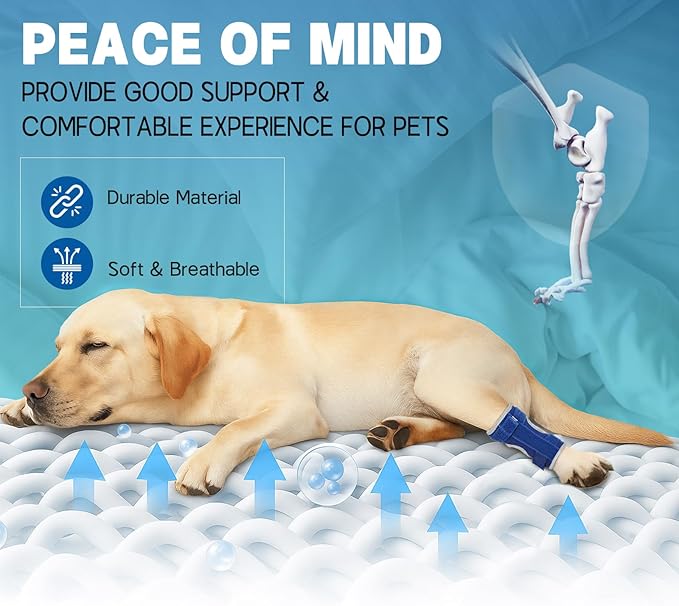 Supet Dog Leg Brace for Back Leg - Hock & Ankle Joint Support for Rear Legs with 2 Metal Springs, Anti-Slip Design & Reflective Trim for Sprain, Arthritis, Injury & Wound Recovery (Blue, L)