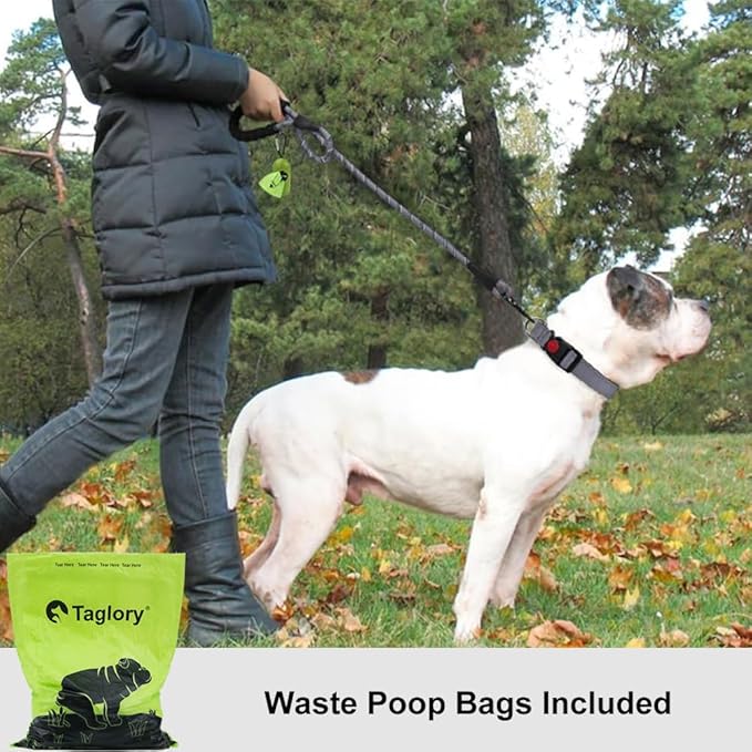 Taglory Rope Dog Leash 6 FT with Comfortable Padded Handle, Highly Reflective Threads Leash and Anti-Tangle Clip for Walking Medium Large Dogs, 1/2 inch, Grey
