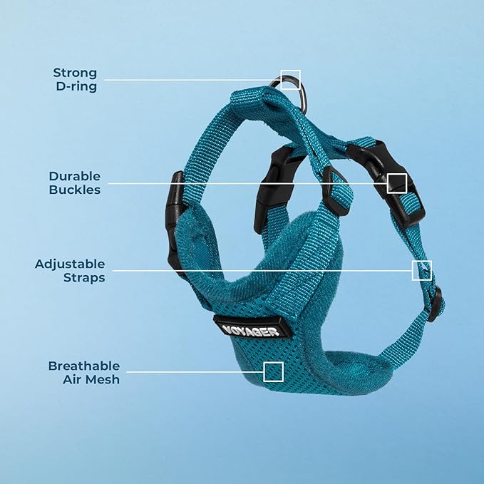 Voyager Step-in Pet Harness - All Weather Mesh, Adjustable Step in Harness for Cats and Dogs by Best Pet Supplies - Turquoise, M