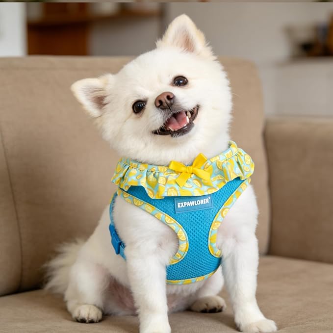 EXPAWLORER Cute Dog Harness Collar Leash Set - Blue Girl Dog Harness Checkered Step-in Design, Adjustable No-Choke Lightweight Mesh Vest for Cats Puppy Small Dogs, Lemon S