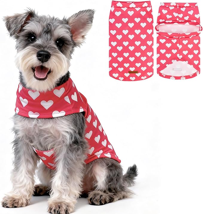 EXPAWLORER Cat Sweater Outfit - Love Hearts Sweater for Cats Only Warm Kitten Clothes, Pet Coat Pullover Design, Fleece Sweatshirt Clothing Also for Puppy Small Dogs, L