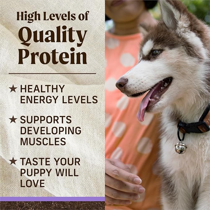 Merrick Premium Grain Free Dry Puppy Food, Wholesome And Natural Kibble With Real Chicken and Sweet Potato - 4.0 lb. Bag