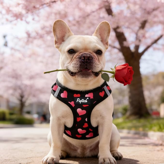 PUPTECK Dog Harness and Leash Set for Small Medium Dogs No Pull Step-in Soft Mesh Puppy Cat Vest Valentine Harnesses Reflective at Night, Black&Pink Heart, S