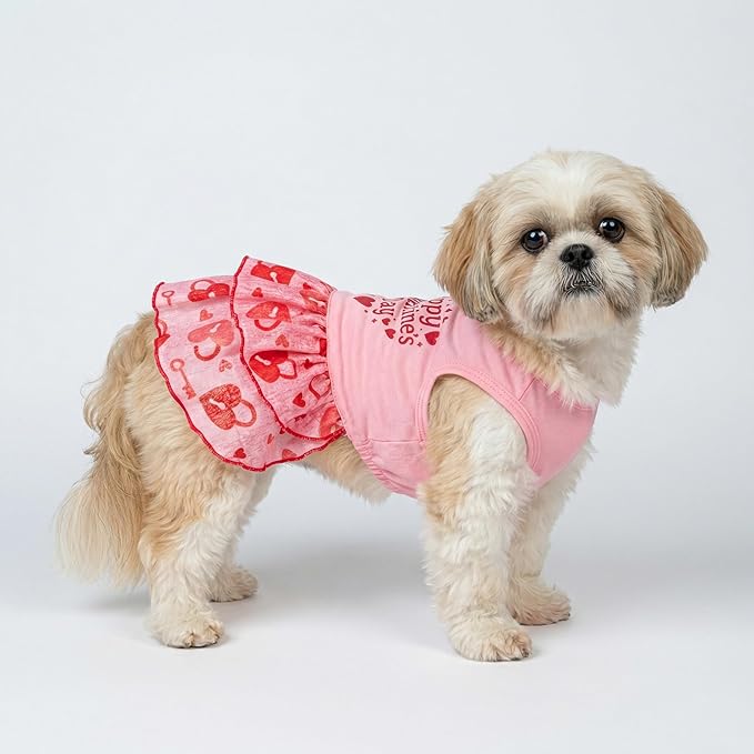 Fitwarm Happy Valentine's Day Dog Dress, Elegant Valentines Outfit for Small Dogs Girl, Festive Pet Clothes, Pink, Red, XS