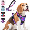 BEAUTYZOO No Pull Dog Harness and Leash Set for Medium Dogs, Adjustable Dog Vest Harnesses with 2 Metal Leash Clips, Reflective Oxford No Choke Escape Proof Step in Pet Vest with Handle, Purple M