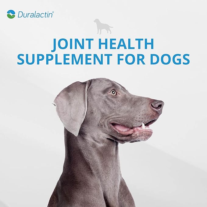 PRN Pharmacal Duralactin Canine Chewable Tablets - Joint Health Supplement for Dogs & Puppies - Pet Mobility Support - Vanilla Flavored Chews - 180 Count