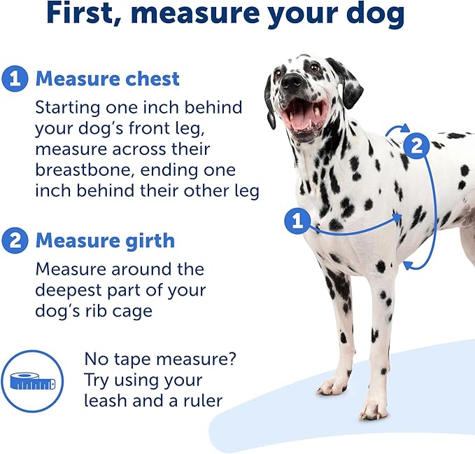 PetSafe Easy Walk Harness for Dogs - Pull-Free Walks - Patented Martingale Loop Design - Front Chest Leash Attachment - Comfort Straps - Breathable Harness Design - Small/Medium, Royal Blue/Navy Blue
